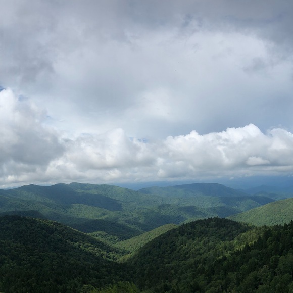 Meet your Posher, Olivia - Picture 1 of 1